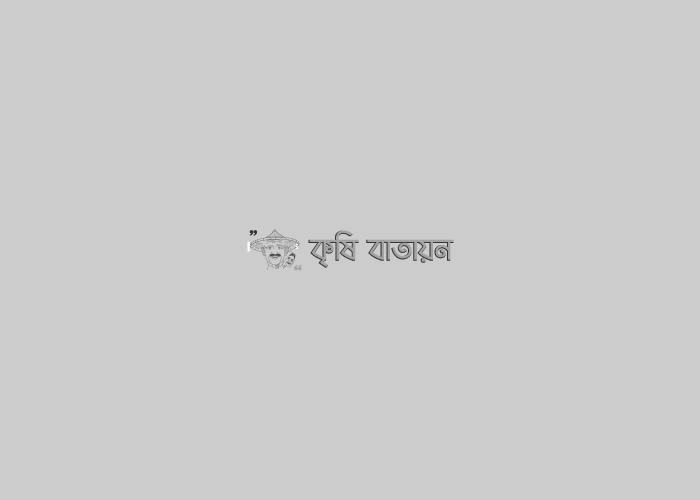 কৃষকের ভাবনা